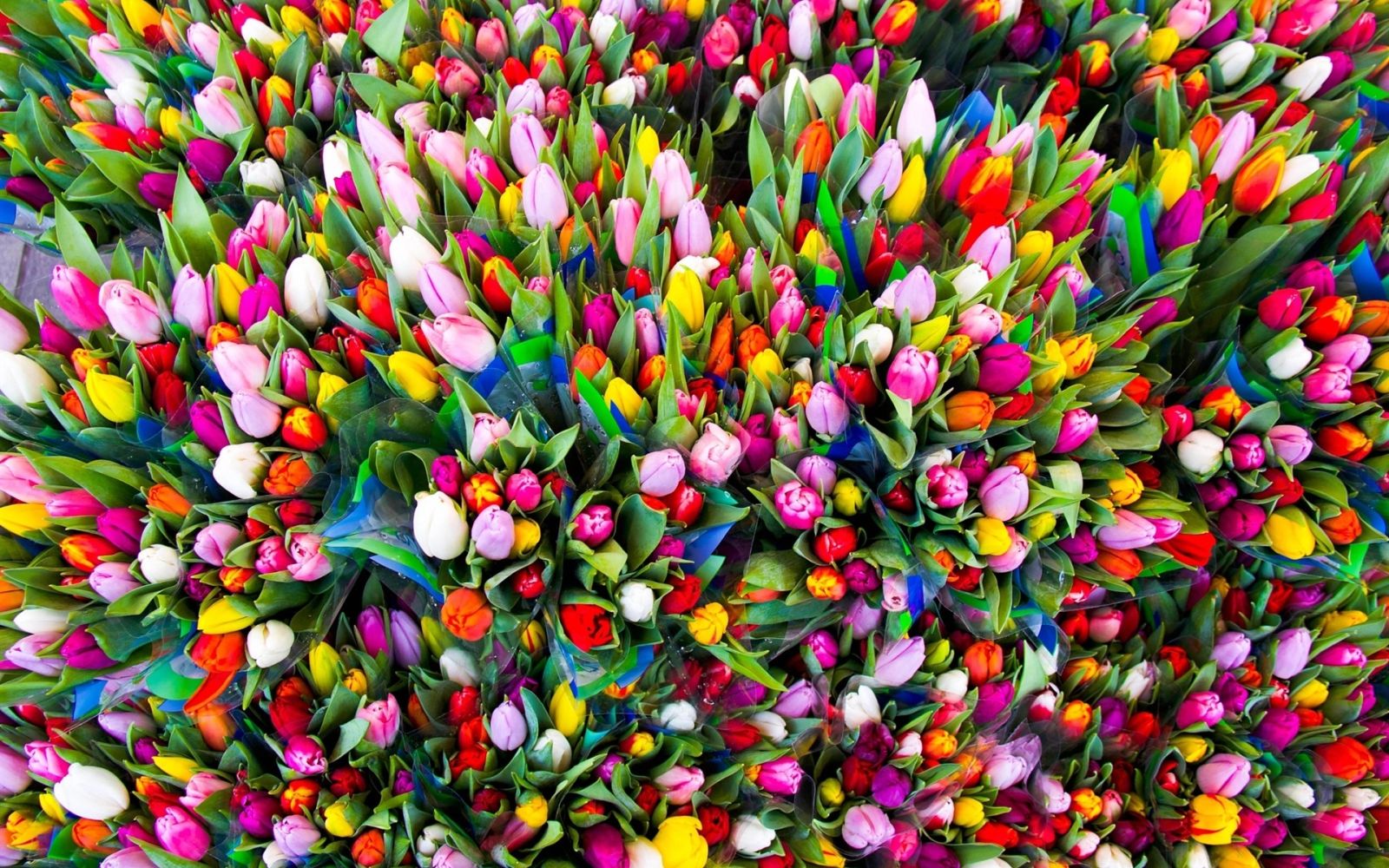 Скільки коштують квіти у Харкові перед 8 березня