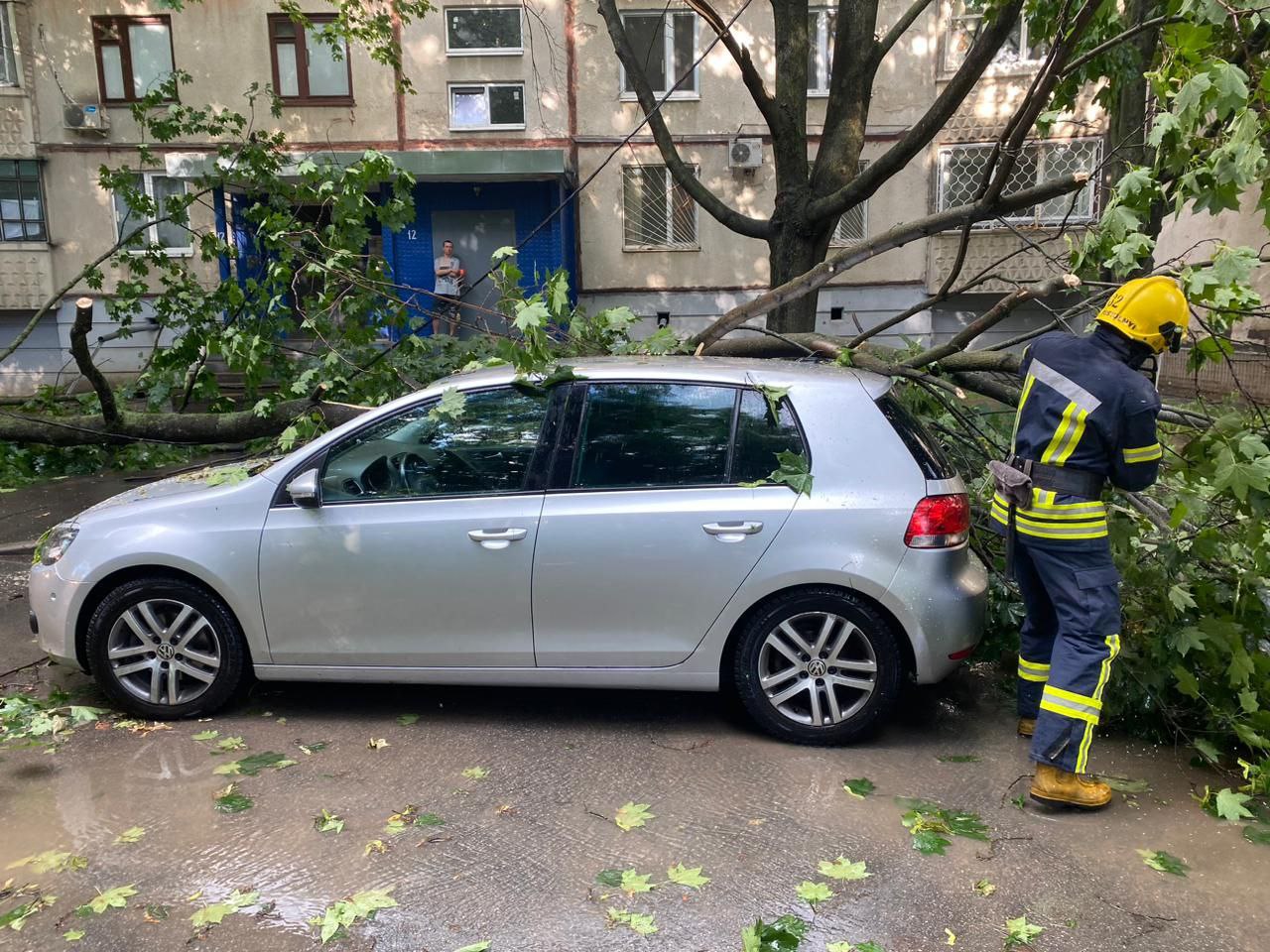 В Харькове снова бушует непогода. Деревья падают на машины (фото)