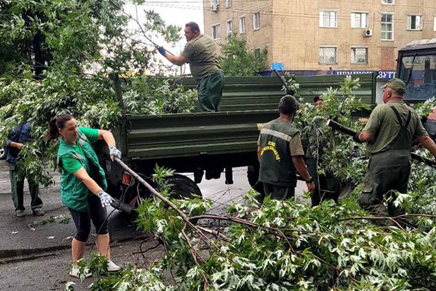 Ураган в Харькове: упало больше 50 деревьев (фото)