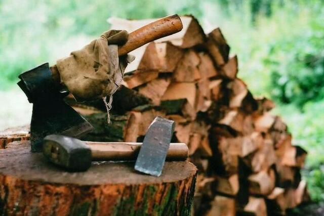 Безкоштовні дрова отримають 2000 сімей у Харківській області