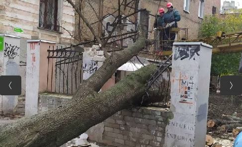 Ураган в Харькове: дерево упало на людей, пострадали крыши домов, машины, поликлиника