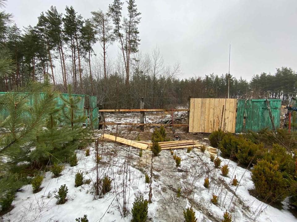 У Харківській області відновили лісництво