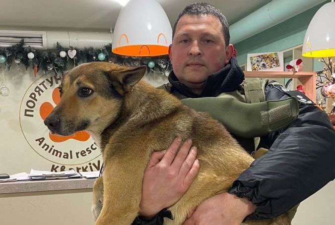 Поліцейські після обстрілу Вовчанська врятували пораненого пса (фото)