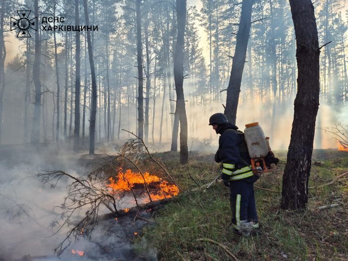 В Харьковской области из-за обстрелов начались лесные пожары (фото)