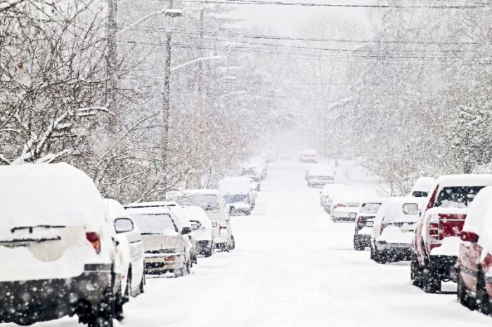 Харьковчан предупредили о налипании мокрого снега