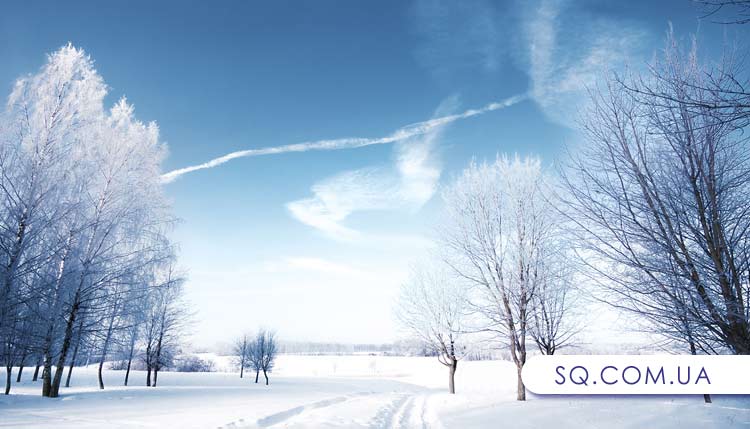 Харьковскую область засыплет снегом