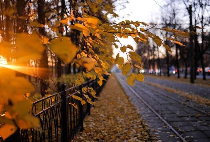 Харьков пережил необычно теплый ноябрь