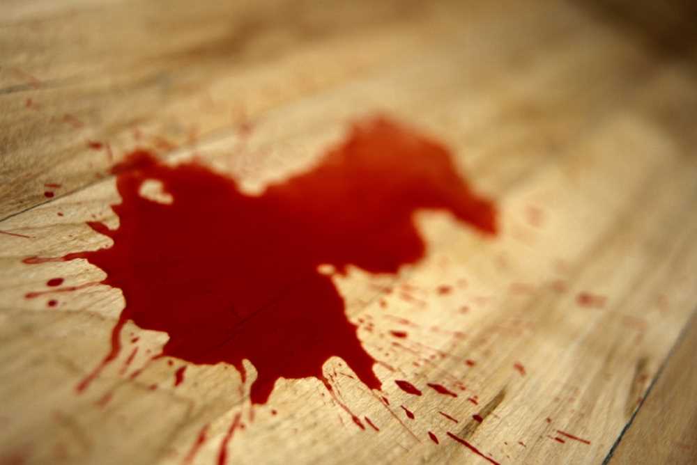 Убийство в ресторане: нашли новых виновных
