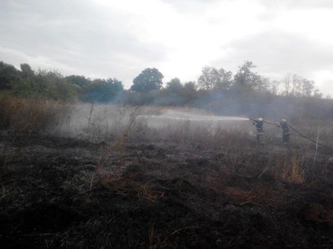 Под Харьковом не прекращаются пожары в лесах
