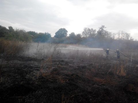 Під Харковом вогонь на відкритій місцевості перекинувся на будинки