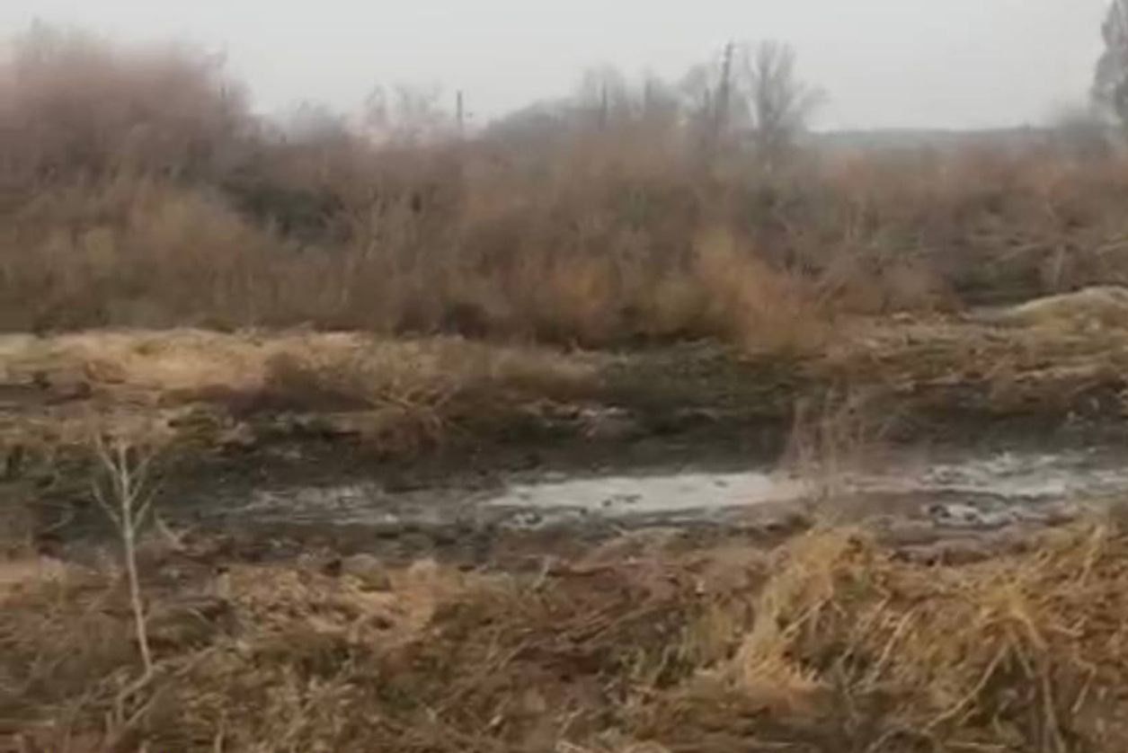 В Харьковской области землю засорили навозом: состоится суд