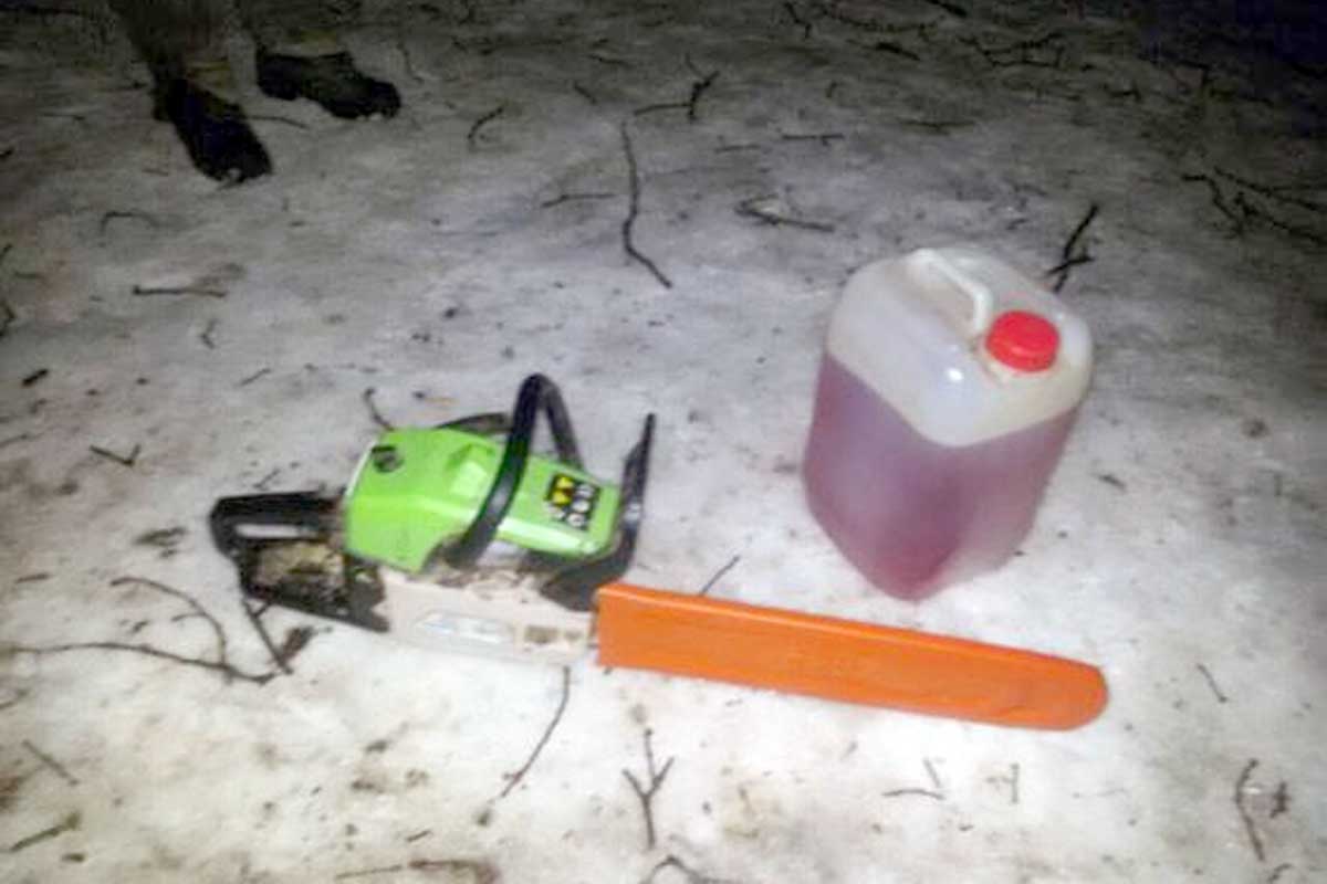 Под Харьковом поймали незаконных лесорубов