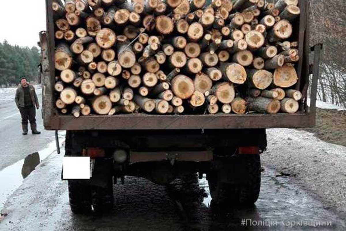 Под Харьковом незаконно рубили деревья