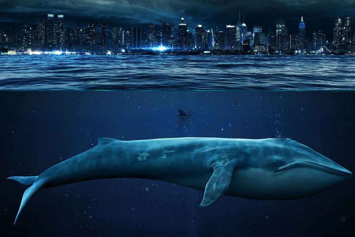 В Харькове от "синего кита" спасли очередного подростка