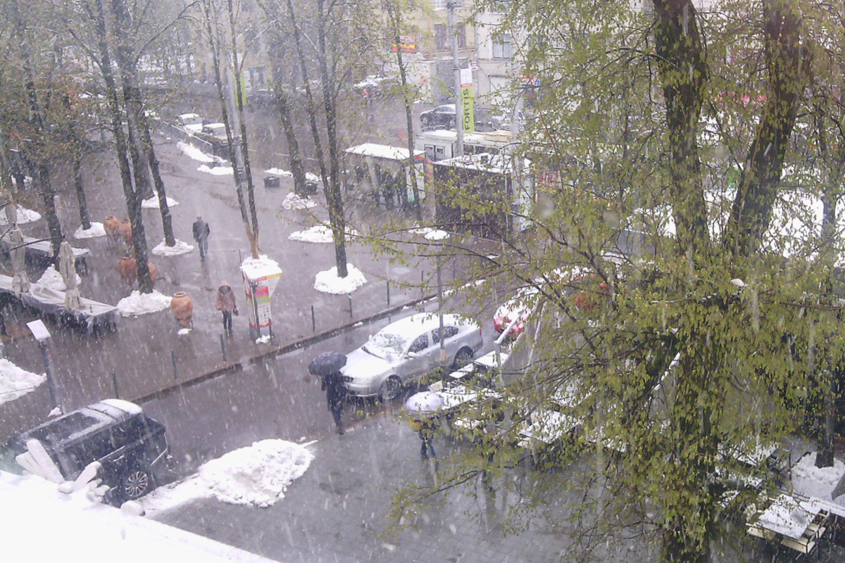 На Харьков обрушился очередной снегопад (фото)