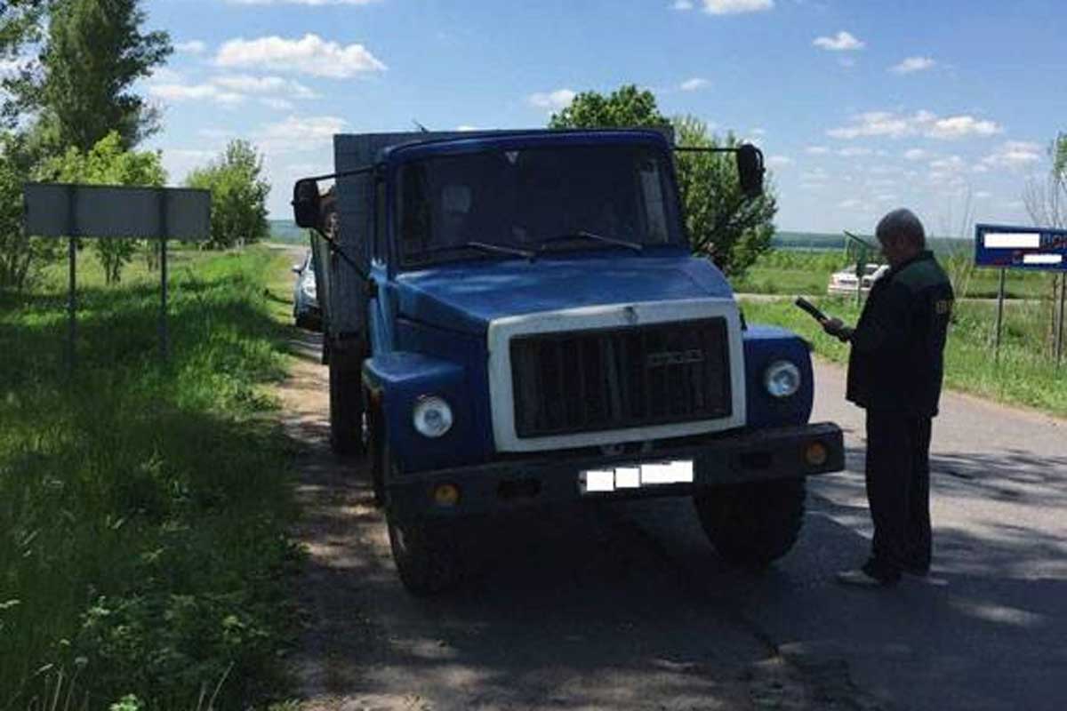 Под Харьковом задержали лесорубов