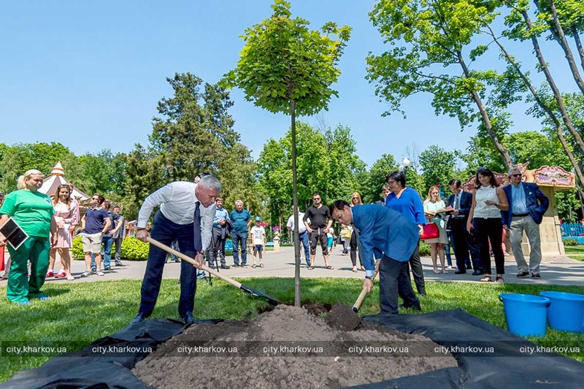 В парке Горького появился клен дружбы (фото)