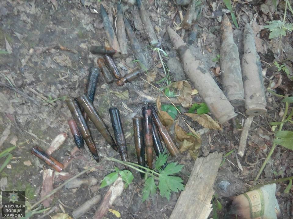 В Саржином яру нашли боеприпасы (фото)