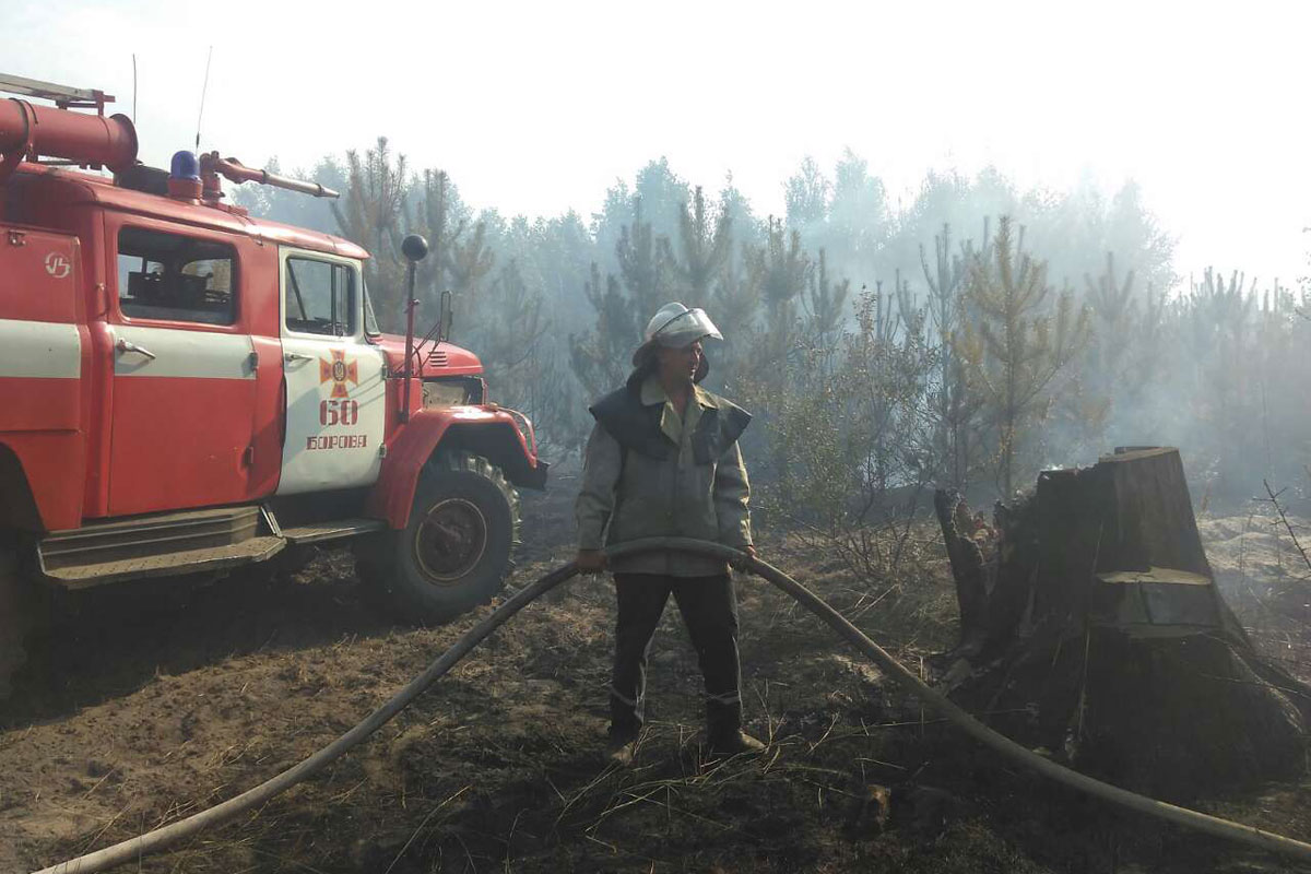 Лесной пожар под Харьковом тушили почти сутки (фото)