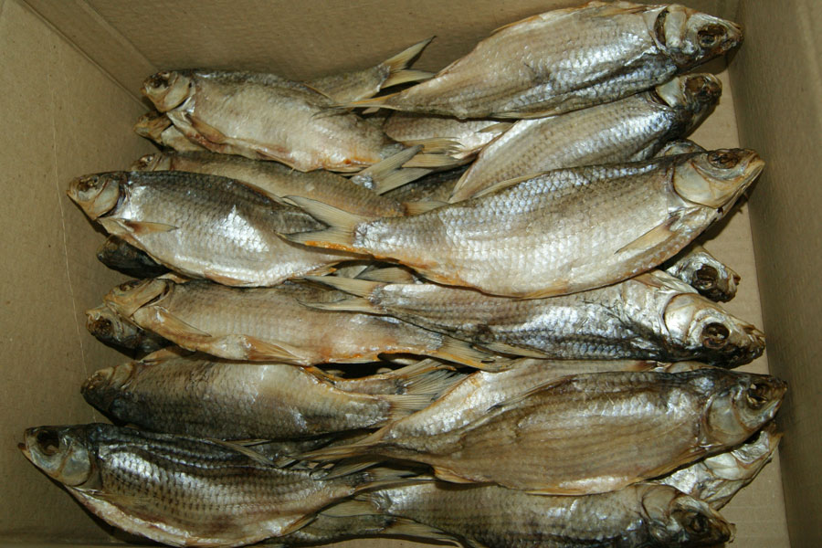 В Харьковской области нашли нелегальную рыбу