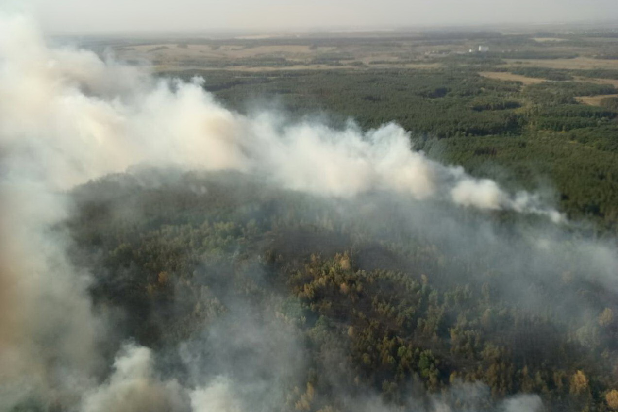 Крупный пожар под Харьковом не могут потушить больше суток (фото)