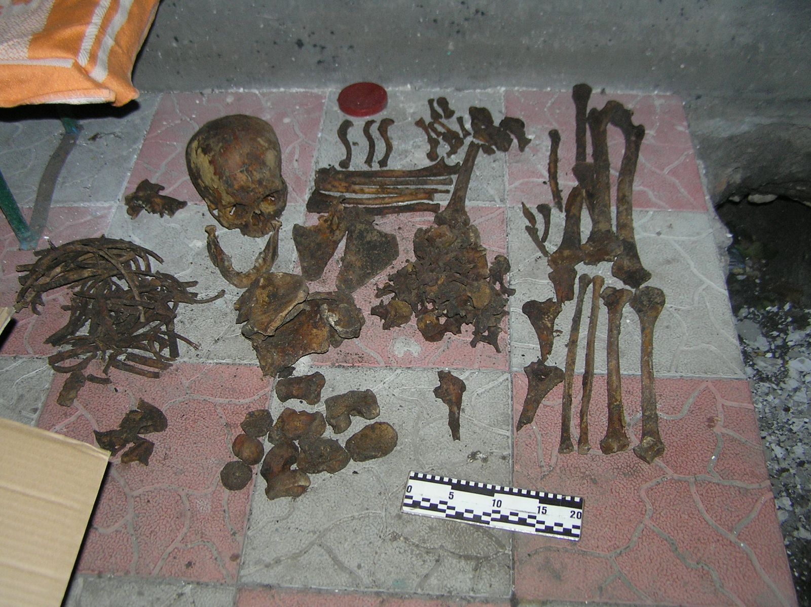 Под Харьковом нашли человеческие останки 20-летней давности (фото)