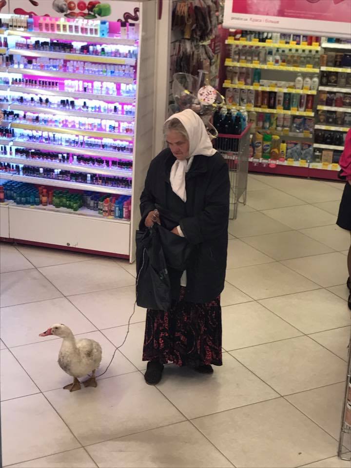 Харьковчанку с гусем на поводке заметили в магазине косметики (фото)
