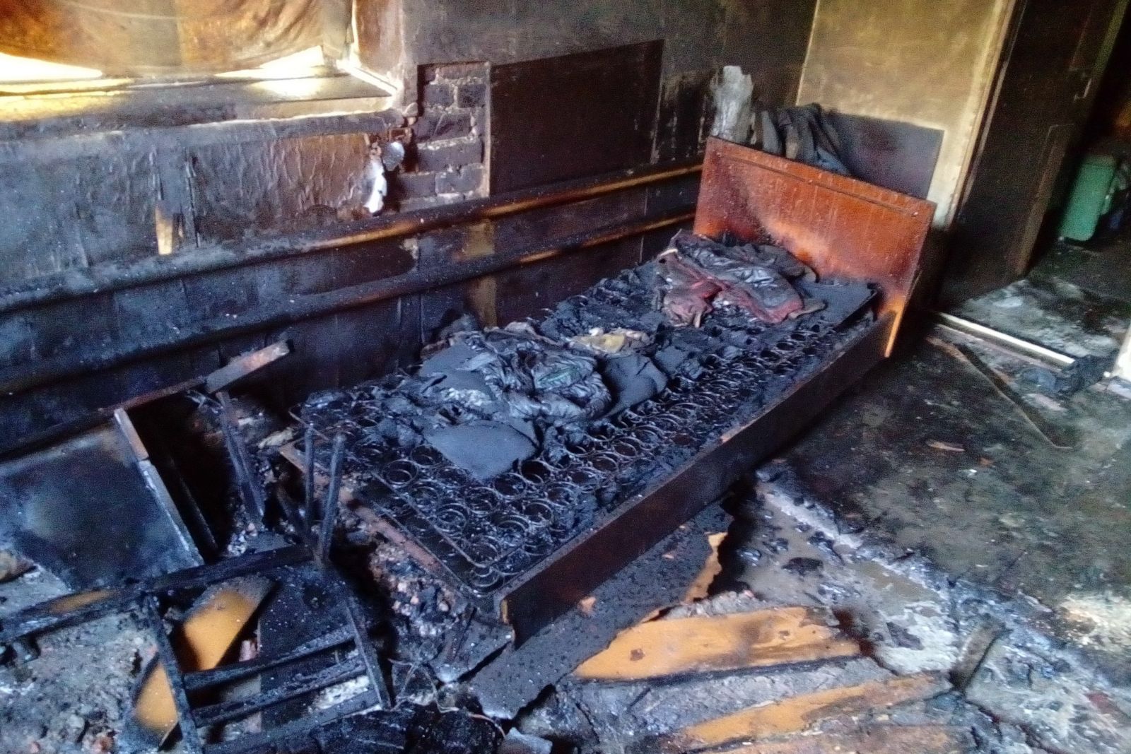 Под Харьковом на пожаре погиб молодой мужчина (фото)