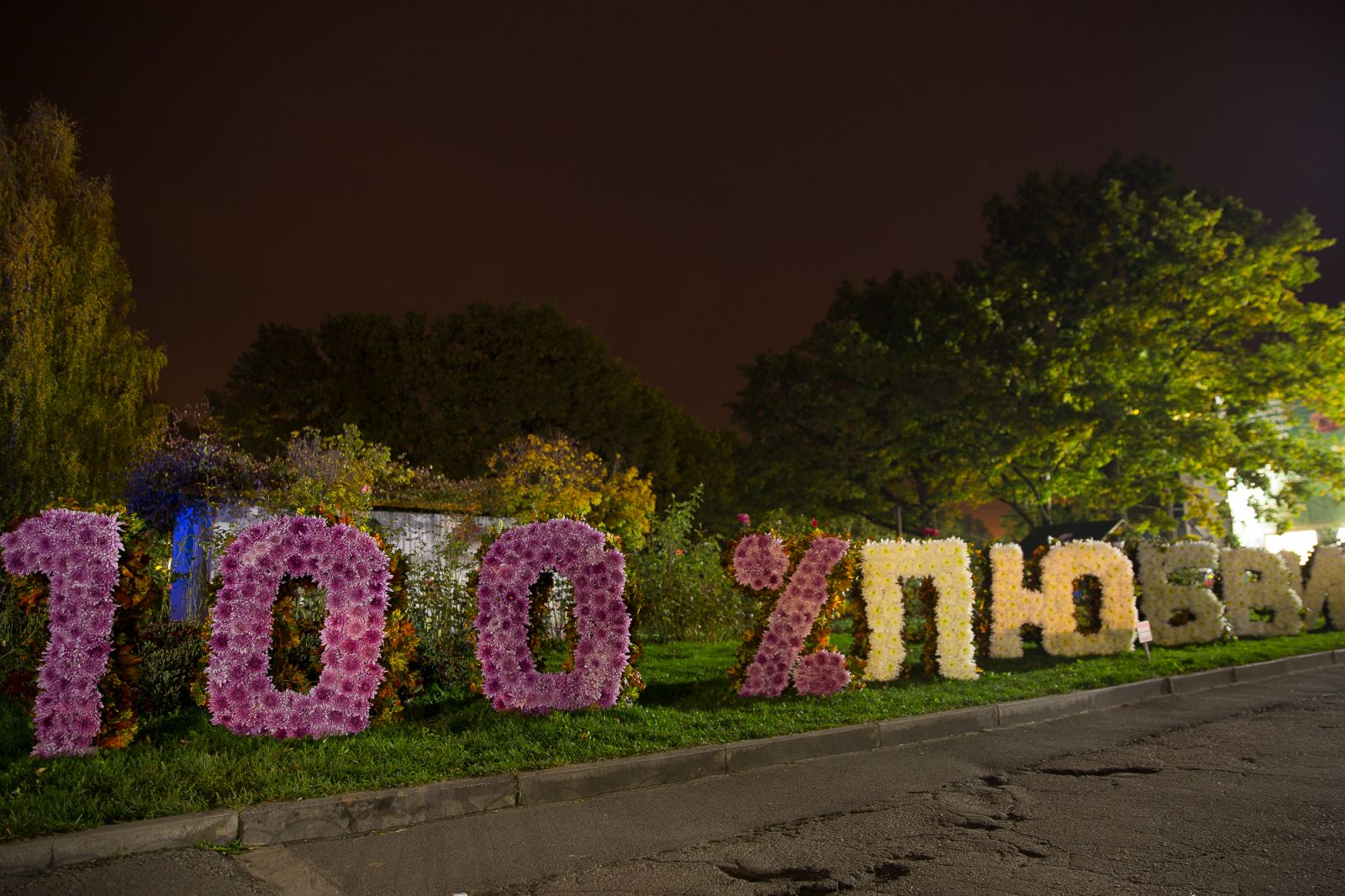 В Фельдман Экопарк открылся Бал хризантем (фото)