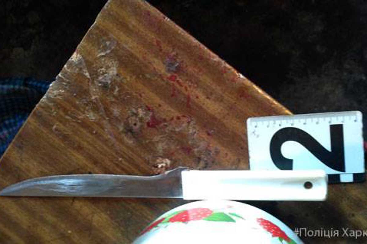 Под Харьковом молодая жена вонзила нож в супруга (фото)