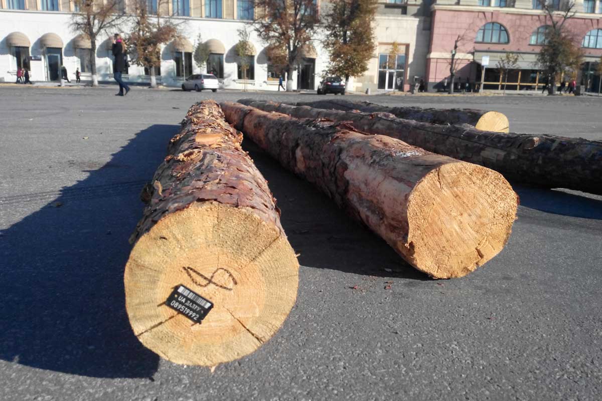 На площадь Свободы привезли бревна и шины (фото)