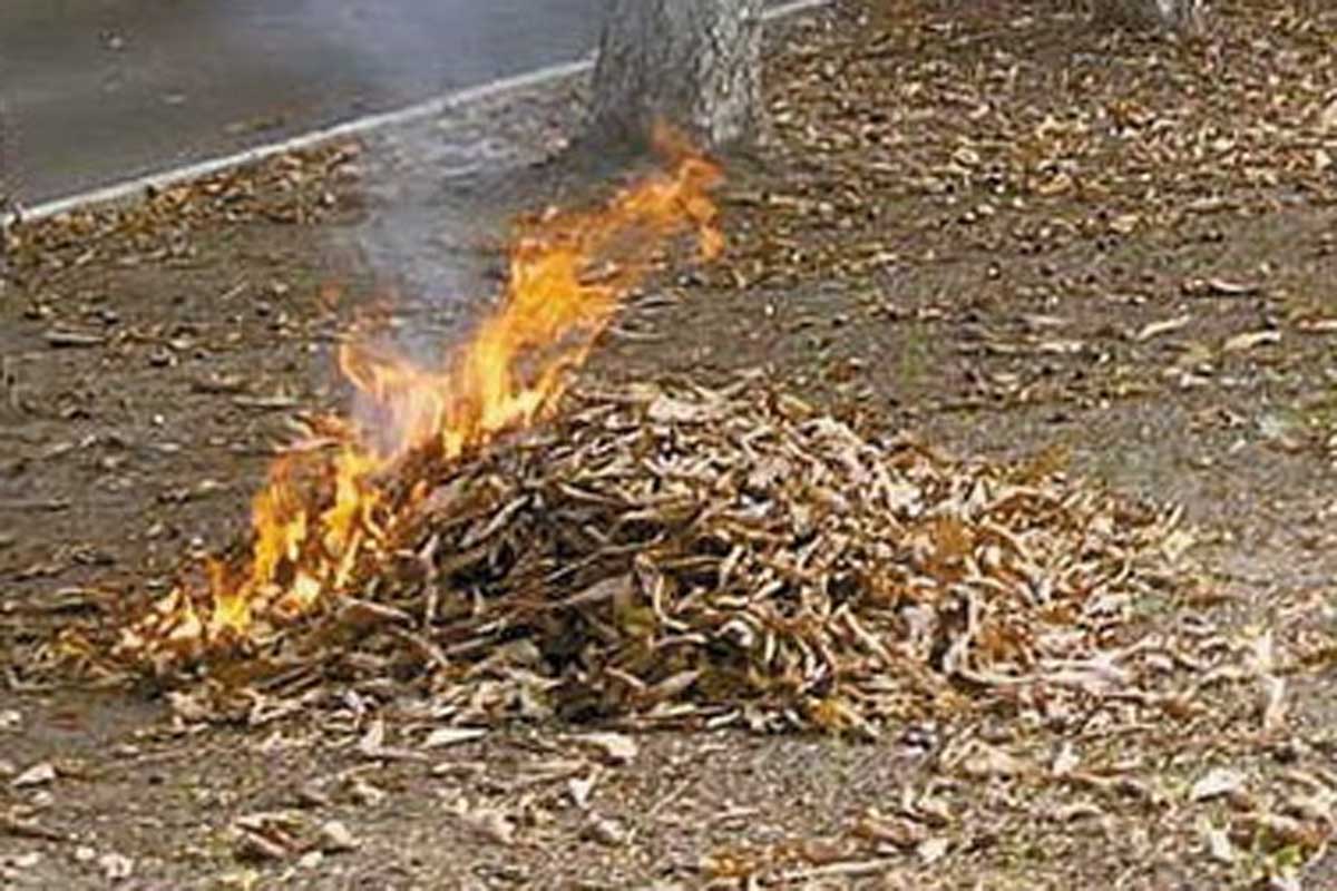 Харьковчанам запрещено сжигать листья - медики