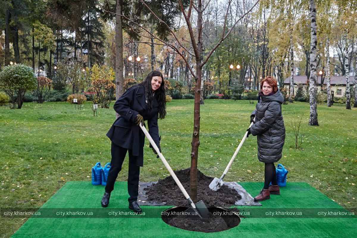 В парке Горького посадили дерево (фото)