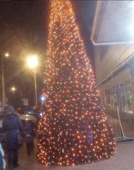 В Харькове появились новогодние елки (фото)