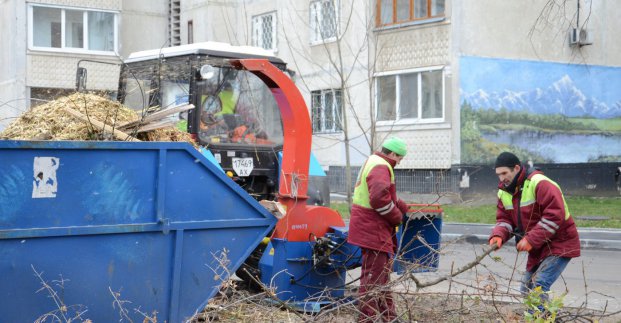 На Новгородской рубят деревья