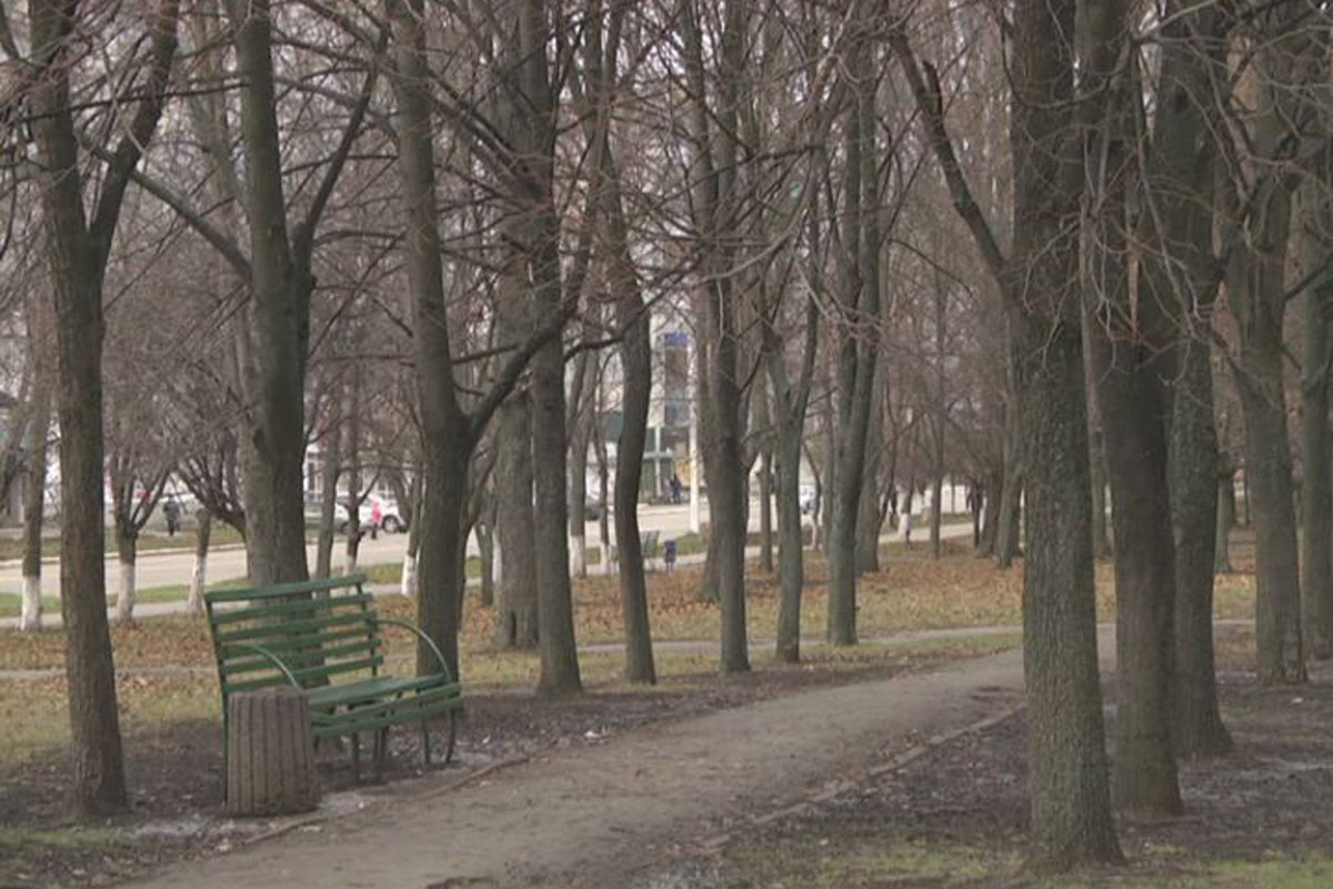 Под Харьковом появятся новые скверы