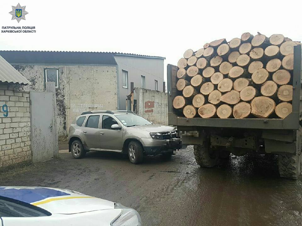 Легковушка врезалась в грузовик с древесиной (фото)