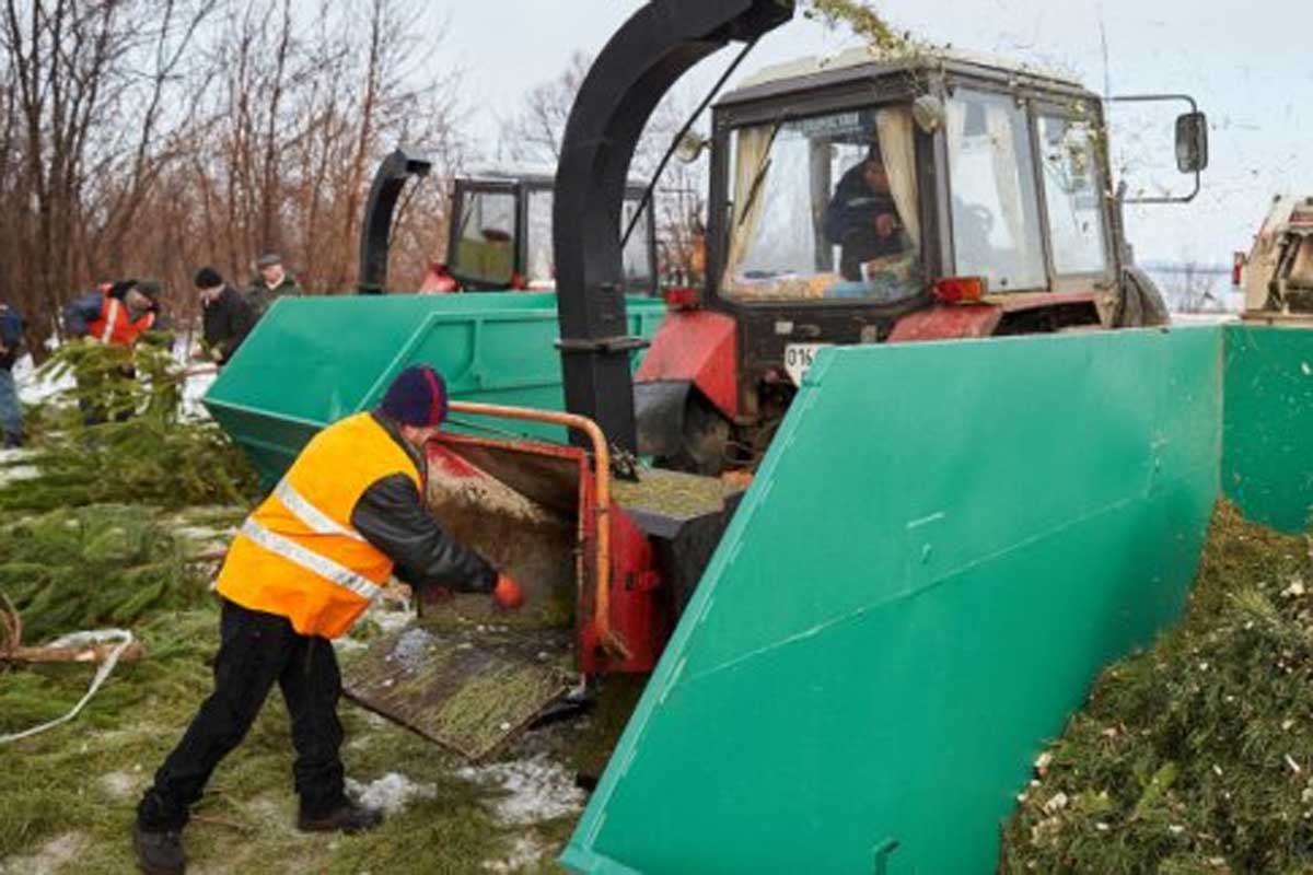 В Харькове утилизируют новогодние елки (фото)