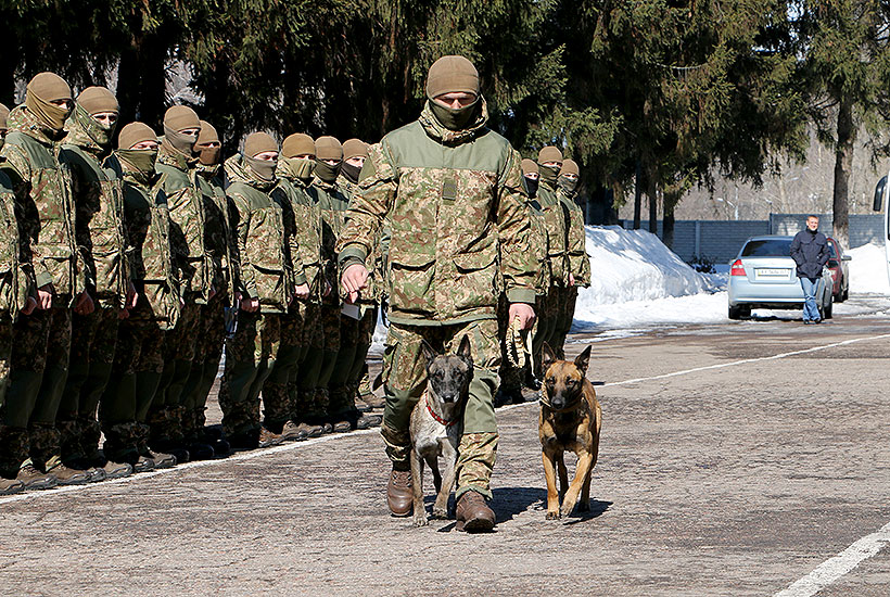 В Харькове собаки получили военные медали (фото)