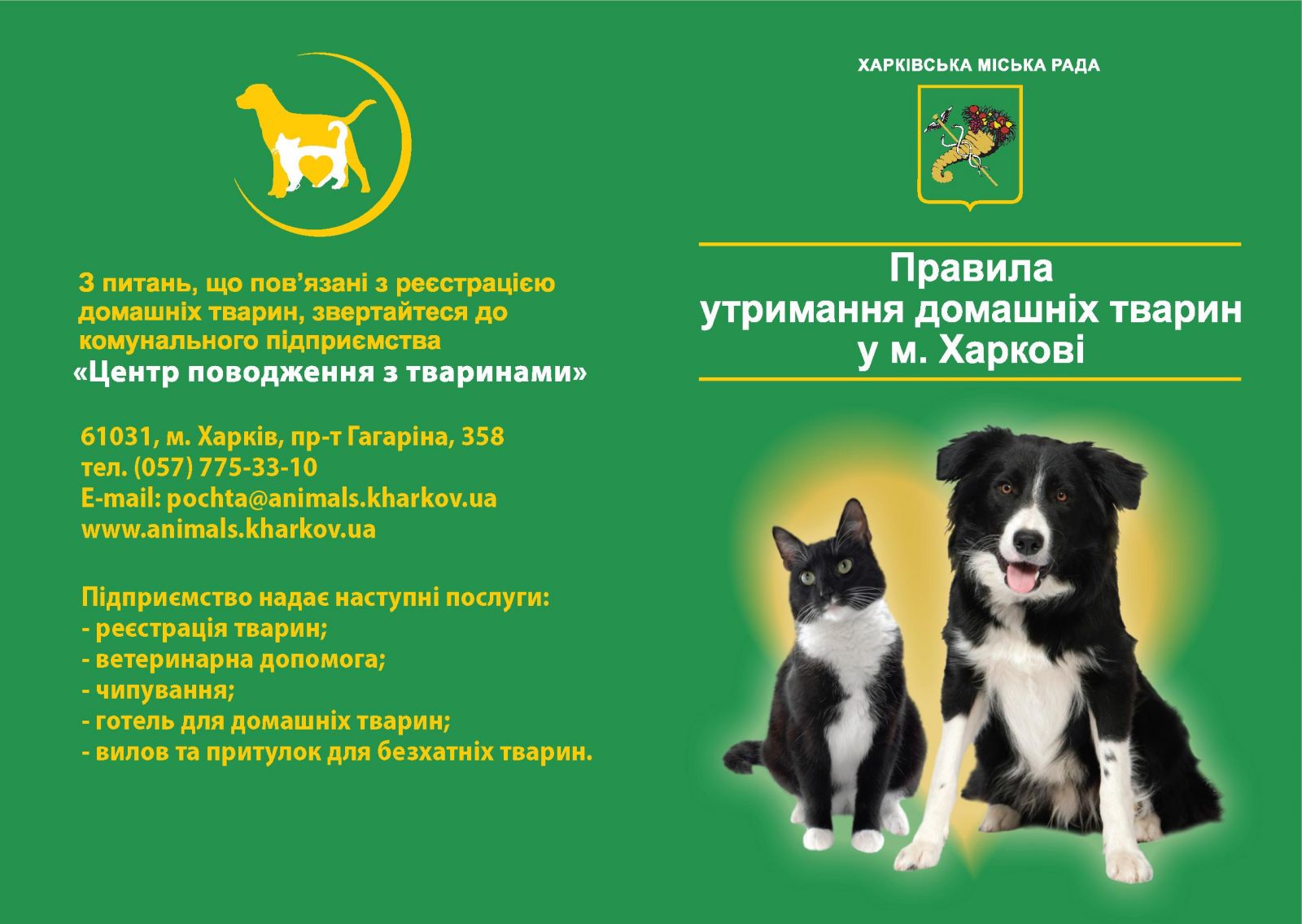 Харьков, собака, правило