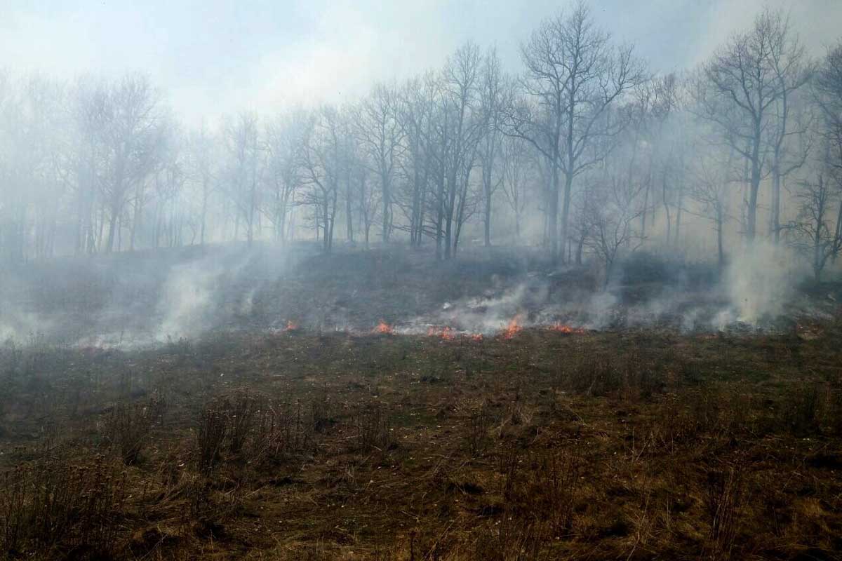Под Харьковом женщина получила ожоги, упав в горящую траву