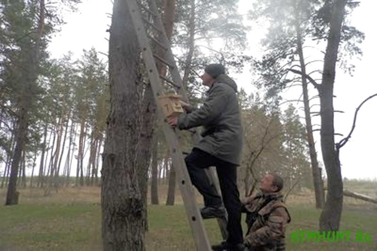 В харьковских лесах разводят птиц, опасных для насекомых (фото)