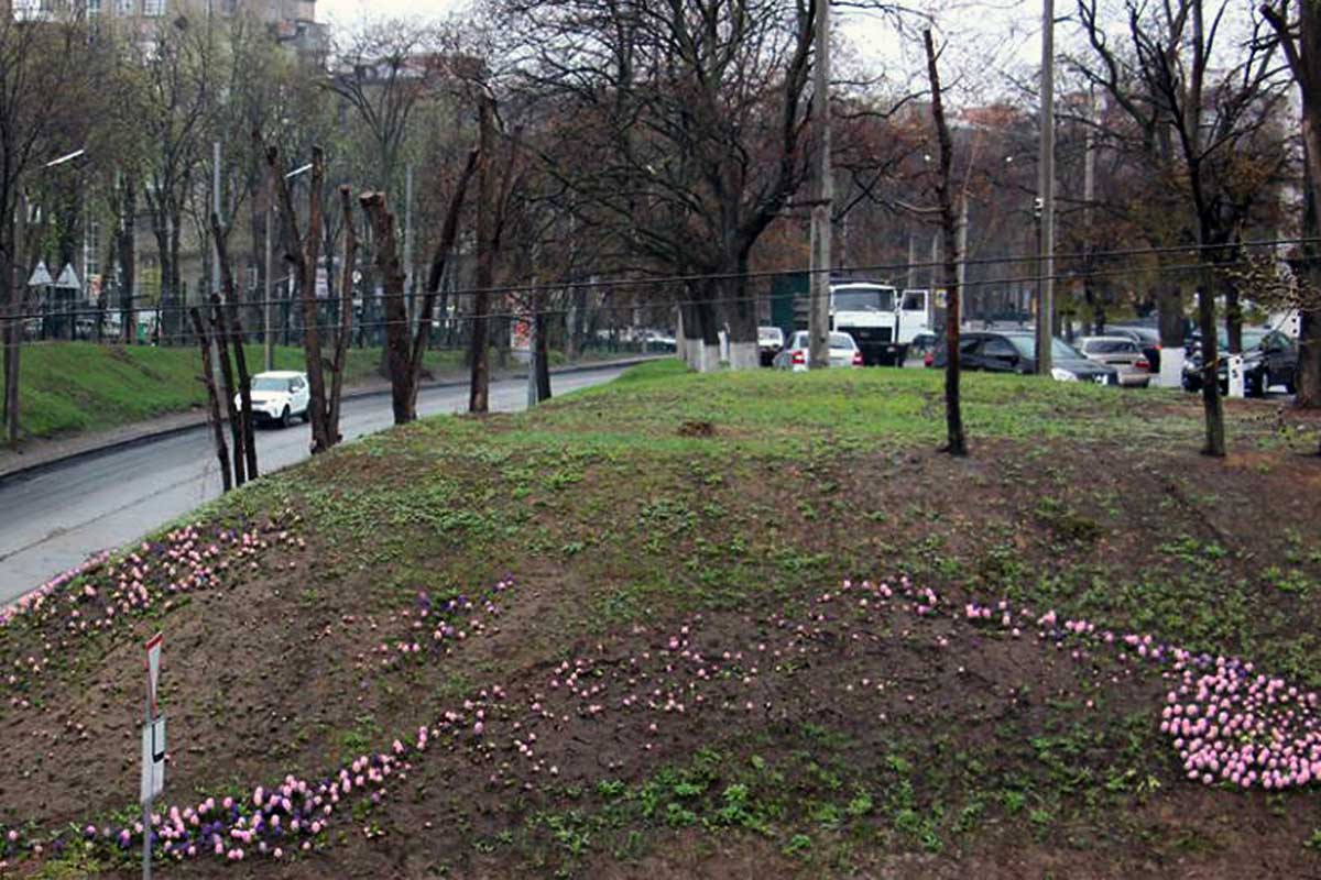 Вандалы разрушили клумбу в центре Харькова