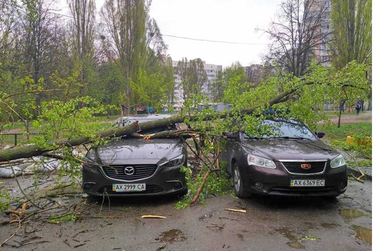 В Харькове дерево упало на машины (фото)