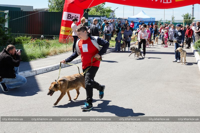 В Харькове установлен рекорд