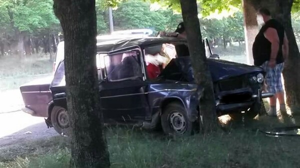 Под Харьковом машина влетела в дерево (фото)