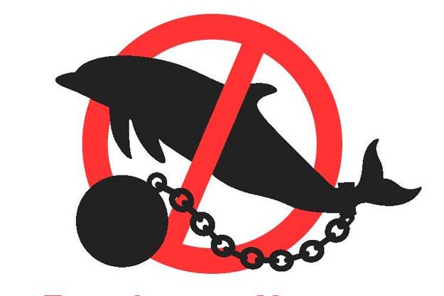 В центре Харькова пройдет митинг