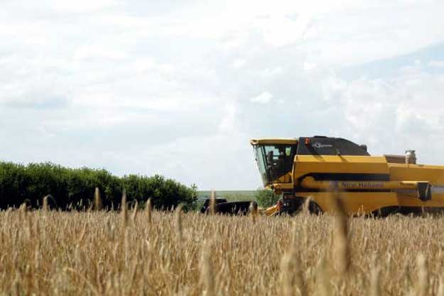 В Харьковской области начали уборку ранних зерновых