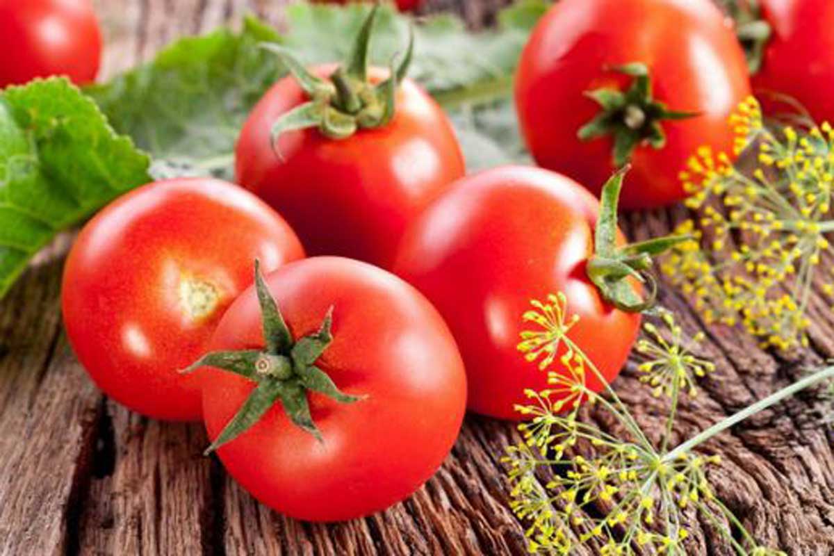 В Харькове выявлены тонны подозрительных помидоров