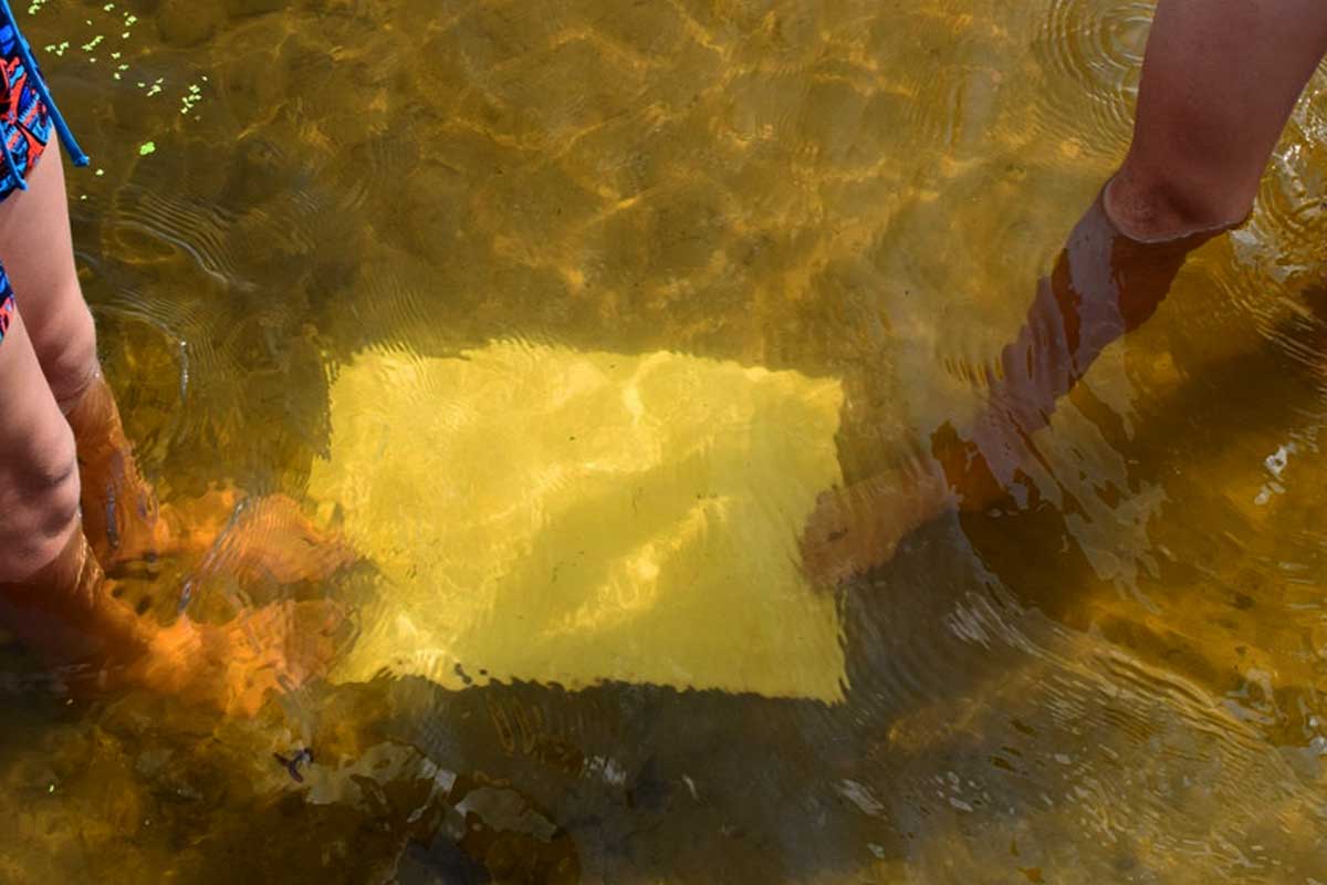 Вода в реке под Харьковом приобрела необычный цвет (фото)